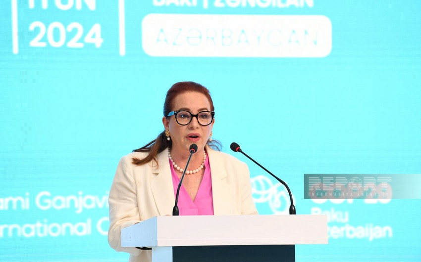 UNGA 73rd session chair: COP29 success won’t only be Azerbaijan’s success