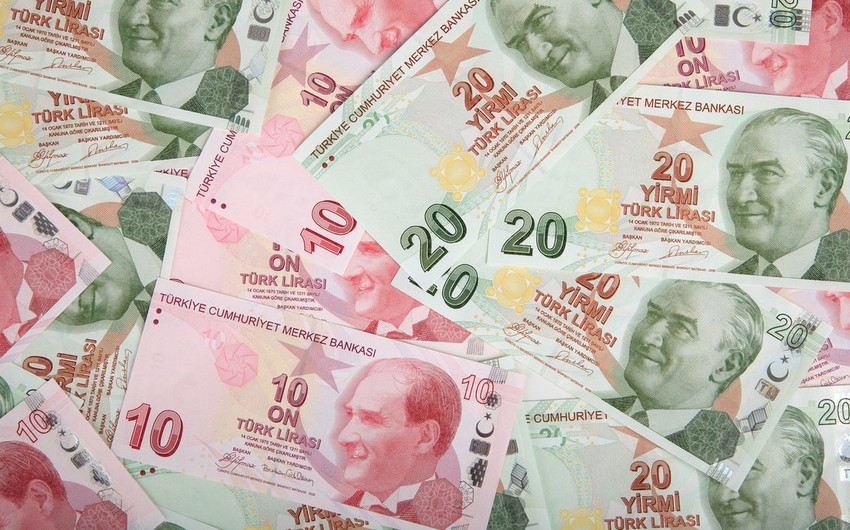 Турецкая лира обесценилась до рекордных значений
