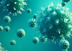 В Боливии сообщили о выявлении британского штамма коронавируса