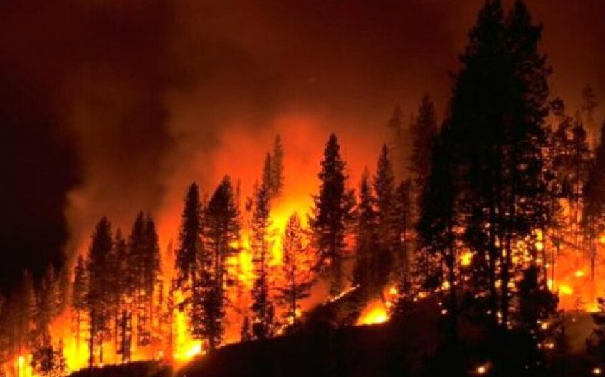 В Канаде с начала года лесные пожары уничтожили 4,4 млн га территорий