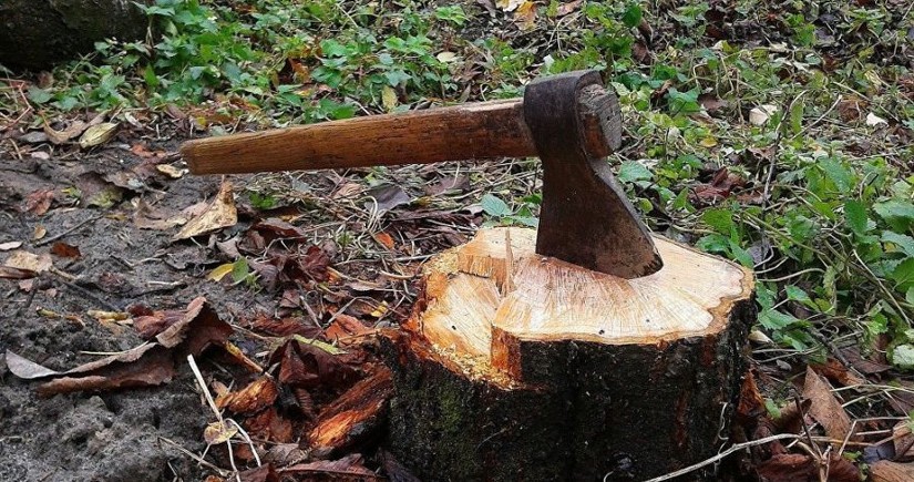 Yasamal rayonunda ağacların kəsilməsi faktı aşkarlanıb, akt tərtib olunub
