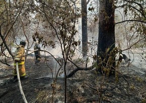 Qazaxıstanda meşə yanğını: 3 nəfər ölüb, 30 min hektar ərazi yanıb