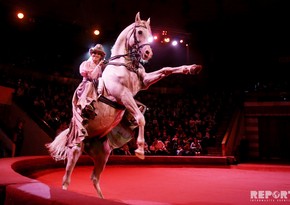 Moscow circus in Baku - demanding kids, magnificent show - REPORTAGE