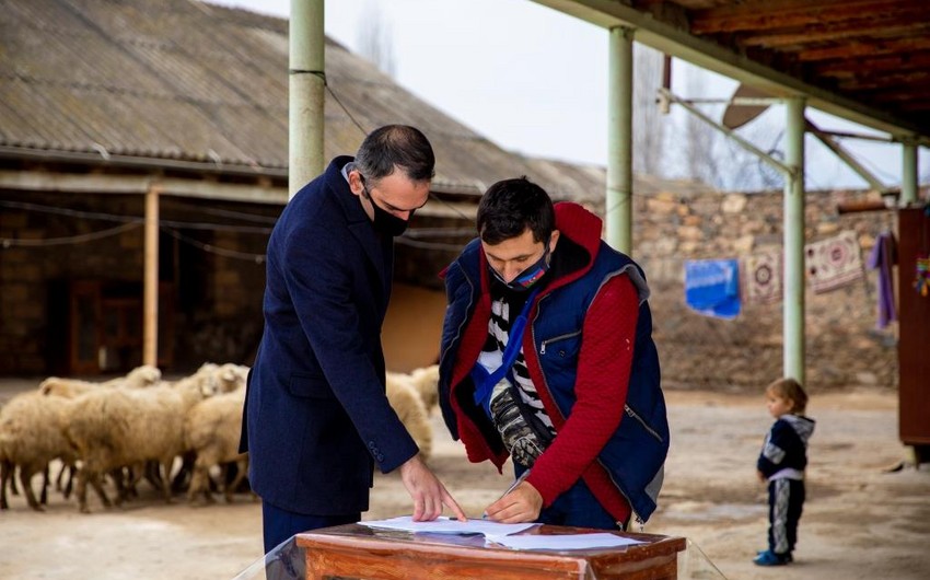 Bir qrup şəhid ailəsi və müharibə iştirakçısı üçün kiçik təsərrüfatlar yaradıldı