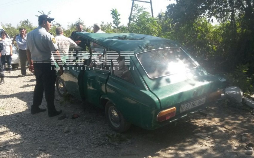 ​Сильный ветер в Хачмазе повалил дерево на автомобиль, погиб человек