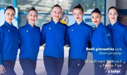 Azərbaycanın gimnastika millisi Fransada qızıl medal qazanıb