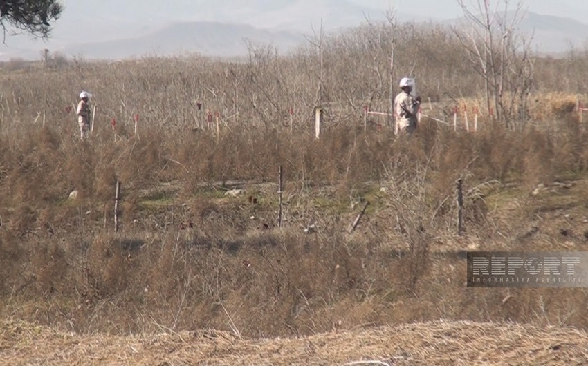 59 anti-tank mines found at mass grave site in Azerbaijan’s Fuzuli