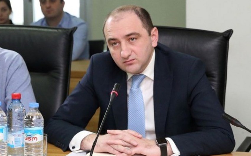 В Грузии подали в отставку бизнес-омбудсмен и его заместитель