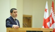 Georgian Parliament speaker: EU-founded fund interfering in elections in country