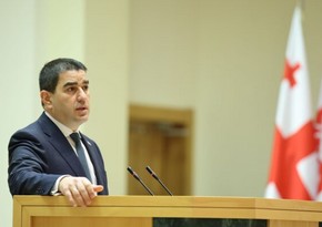 Спикер парламента Грузии: Основанный ЕС фонд вмешивается в выборы в стране