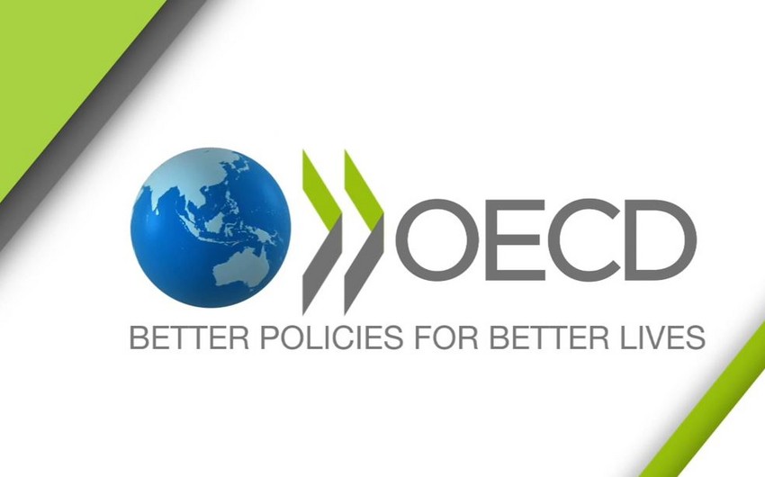 OECD downgrades forecast for global GDP growth in 2023