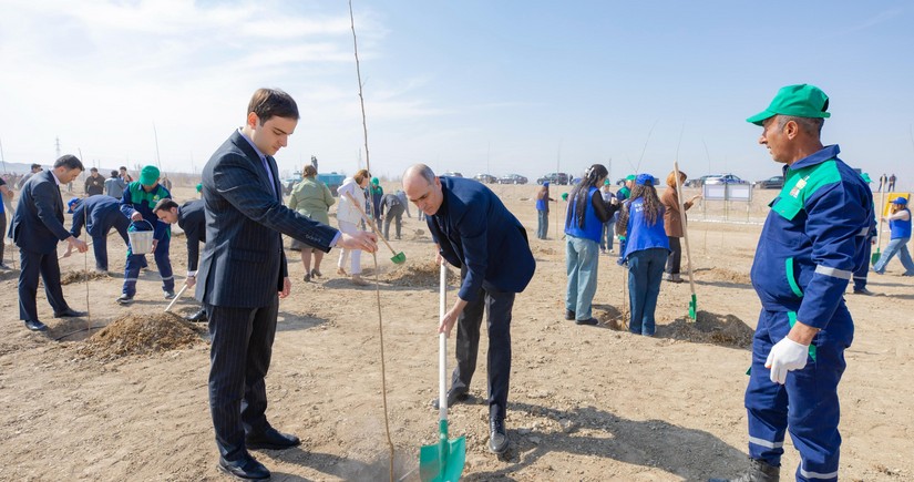 Naxçıvanda 118 mindən çox tingin əkilməsi, 58 hektarda isə yeni bağların salınması nəzərdə tutulub
