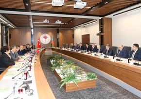 Кямаледдин Гейдаров встретился с министром сельского и лесного хозяйства Турции