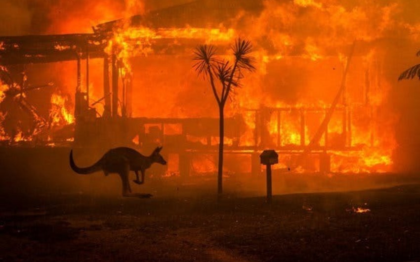 Australia to provide nearly $ 40 million for victims of bushfires
