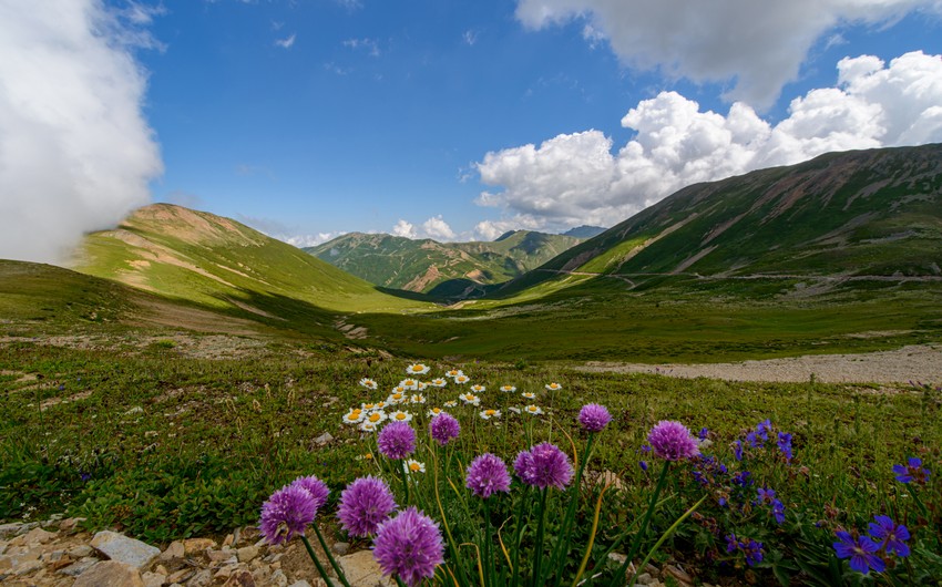 Zaqatala və Balakən ərazisində ilk dəfə Biosfer rezervatı yaradılacaq