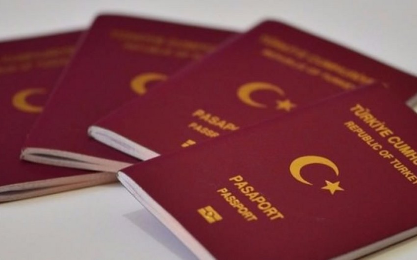 Бежавших из Турции подозреваемых через три месяца лишат гражданства