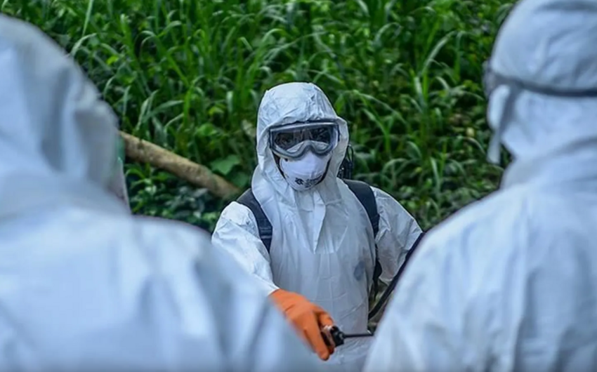 Uqandada Ebola epidemiyasından 29 nəfər ölüb