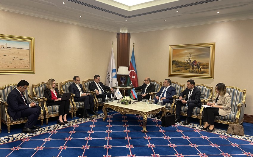 Azerbaijan's Energy Minister, GECF Secretary General discuss cooperation issues