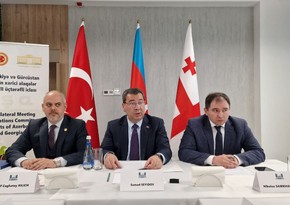 Очередную встречу парламентов Азербайджана, Турции и Грузии предложено провести в Сухуми