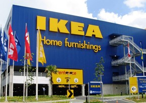IKEA ABŞ-da 4,5 min hektar meşəni alıb