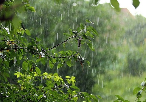 Сильные дожди в западных районах Азербайджана вызвали ряд последствий