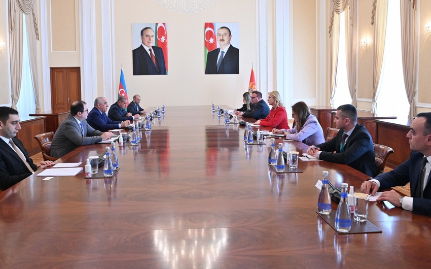 Али Асадов встретился с председателем парламента Черногории