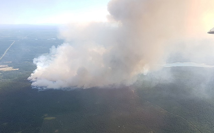 В Канаде из-за лесных пожаров эвакуировали более 14 тысяч человек - ВИДЕО