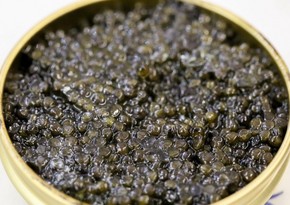 Black caviar: How to distinguish real Caspian caviar from fake Chinese caviar? – PHOTO
