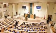 Парламент Грузии в окончательном чтении запретил пропаганду ЛГБТ и смену пола