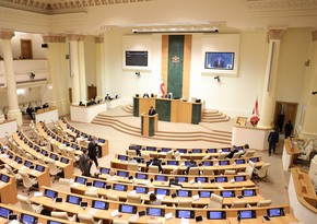 Georgian Parliament bans LGBT propaganda, gender change in final reading