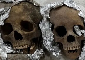 Нацгвардия Мексики в посылке в аэропорту обнаружила человеческие черепа