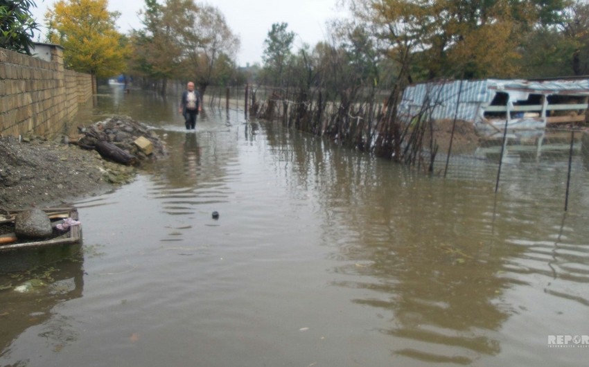 Astarada aramsız yağışlar nəticəsində 150-dən çox yaşayış evini su basıb - VİDEO