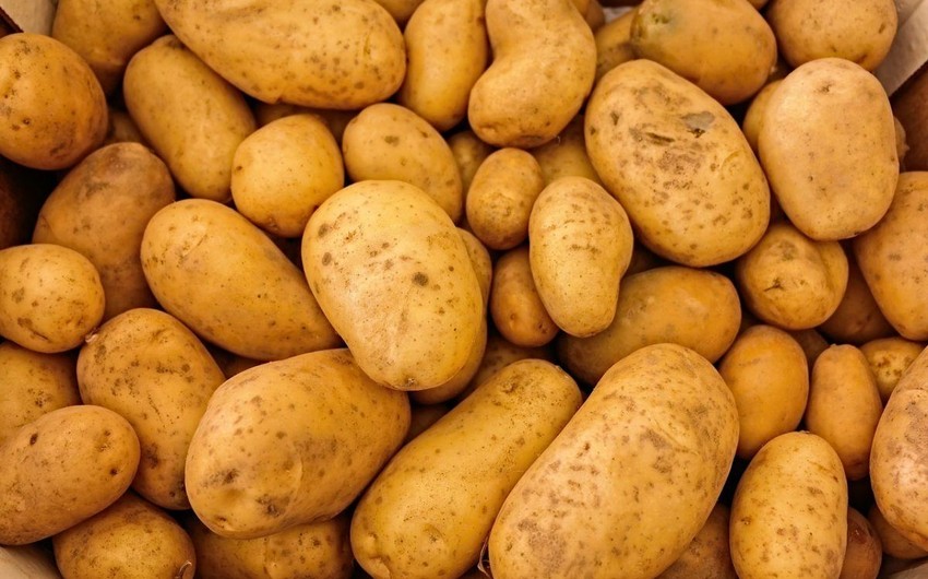 Агентство продбезопасности забраковало 26 тонн ввезенной из Грузии картошки с червями
