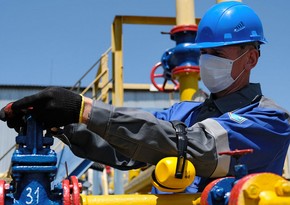 EU developing plans in case of cessation of Russian gas imports