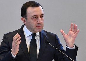 Гарибашвили назвал оскорбительным участие глав МИД зарубежных стран в митинге в Тбилиси