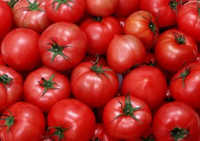 Поставки помидоров и яблок в Россию разрешено 13 азербайджанским предприятиям