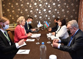 Cederfelt: OSCE PA attaches great importance to cooperation with Azerbaijan