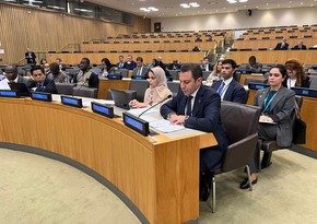 Elnur Mammadov highlights Azerbaijan's commitment to Islamic solidarity at OIC meeting