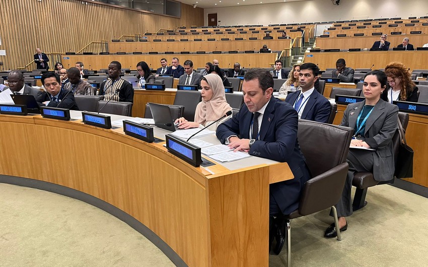 Elnur Mammadov highlights Azerbaijan's commitment to Islamic solidarity at OIC meeting