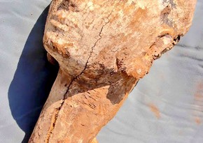 4000-year-old statue discovered in Egypt - PHOTO