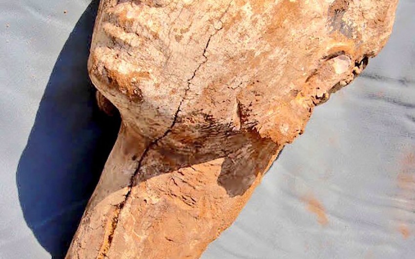 4000-year-old statue discovered in Egypt - PHOTO