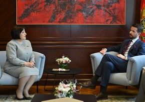 Спикер Милли Меджлиса вручила президенту Черногории приглашение на COP29