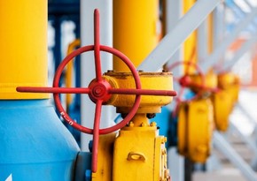 Украина хочет взять у Канады в долг 350 млн долларов на закупку газа 