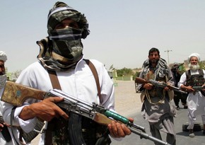 Талибы призвали Нидерланды наказать осквернившего Коран экстремиста 