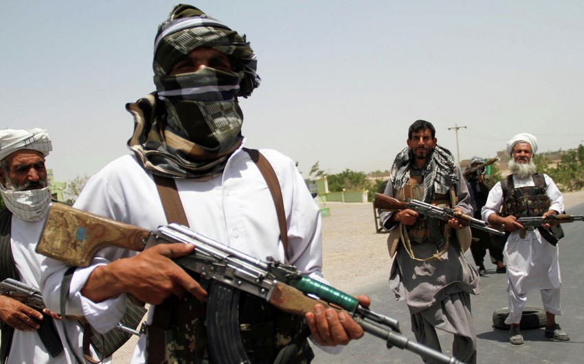 Талибы призвали Нидерланды наказать осквернившего Коран экстремиста 