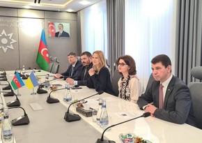 Зампред Верховной Рады: Разминирование территорий - проблема, которая объединяет Азербайджан и Украину