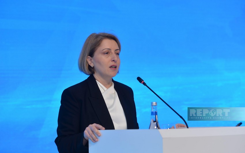 Tkeşelaşvili: Bakı və İrəvan arasında sülh sazişinin imzalanması bütün region üçün əlamətdar hadisə olacaq