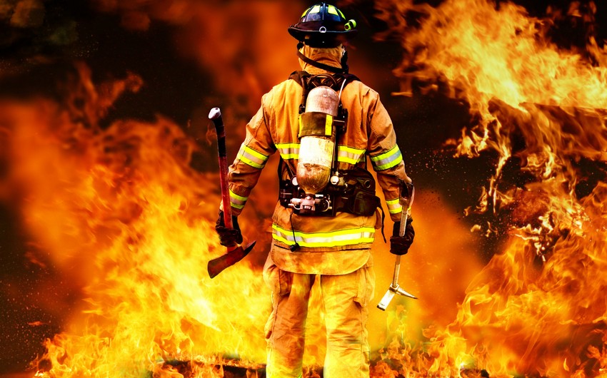 В США мужчина сжег свой дом, пытаясь избавиться от змей