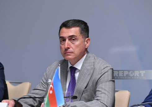 Али Гусейнли: Реакция Блинкена на обеспокоенность Баку - показатель авторитета Ильхама Алиева