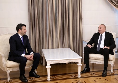 Президент Азербайджана принял технического директора турецкой компании 